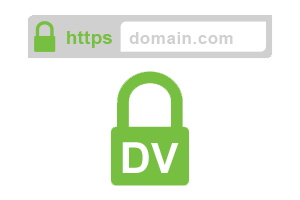 SSL domain validation